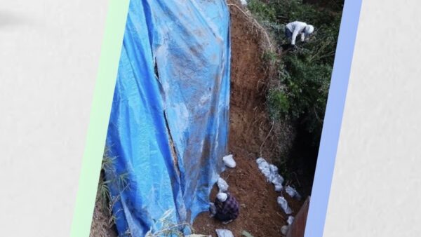 小規模治山工事✨